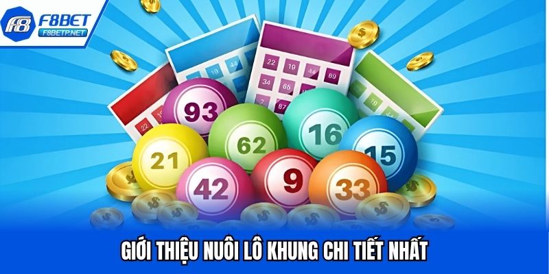 Nuôi Lô Khung Là Gì? Tổng Hợp Các Hình Thức Nuôi Hiệu Quả Giới thiệu nuôi lô khung chi tiết nhất
