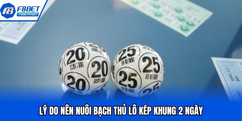 Bạch Thủ Lô Kép Khung 2 Ngày Bất Bại Từ Chuyên Gia Hàng Đầu Lý do nên nuôi bạch thủ lô kép khung 2 ngày