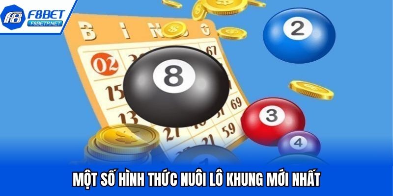 Nuôi Lô Khung Là Gì? Tổng Hợp Các Hình Thức Nuôi Hiệu Quả Một số hình thức nuôi lô khung mới nhất